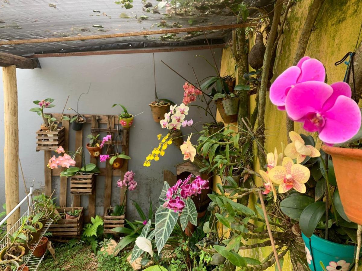 Casa Das Flores ชาปาดา ดอส กิมาไรส์ ภายนอก รูปภาพ